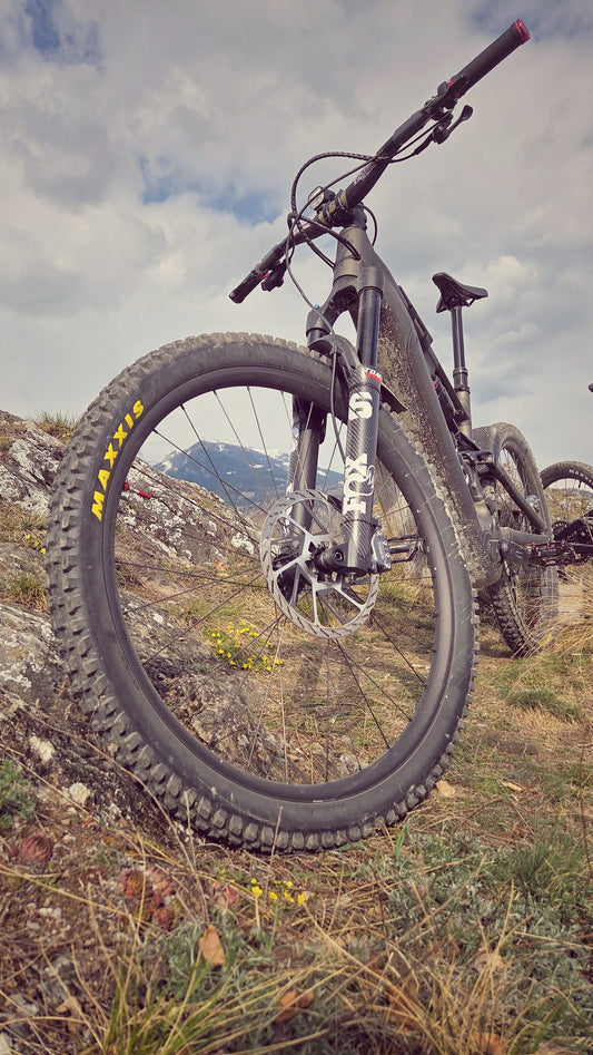Protection de fourche fox 36-38 compatible Rock Shox